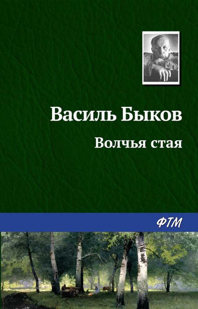 Buchcover für Волчья стая