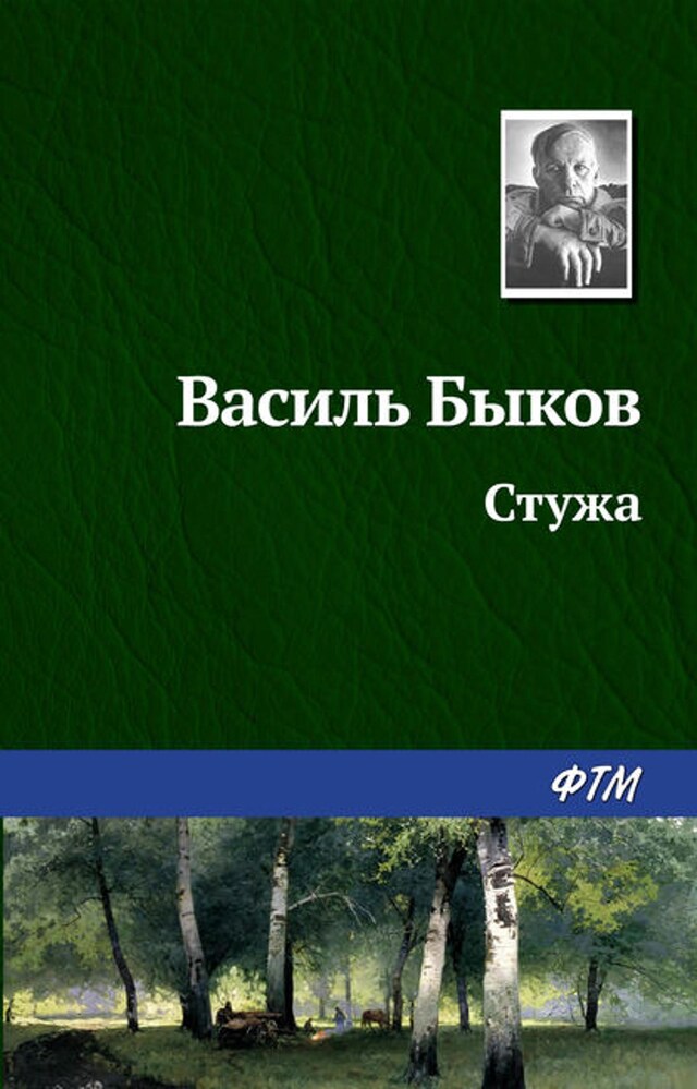 Book cover for Стужа