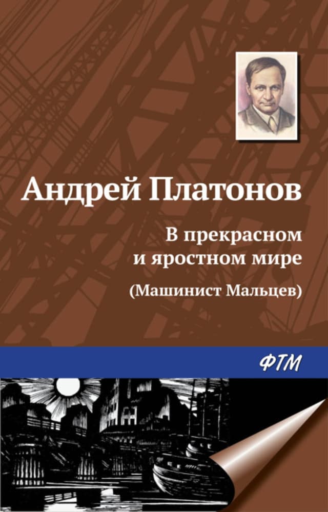 Book cover for В прекрасном и яростном мире