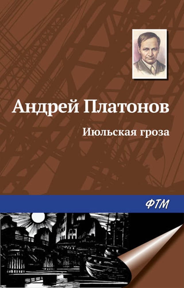 Book cover for Июльская гроза