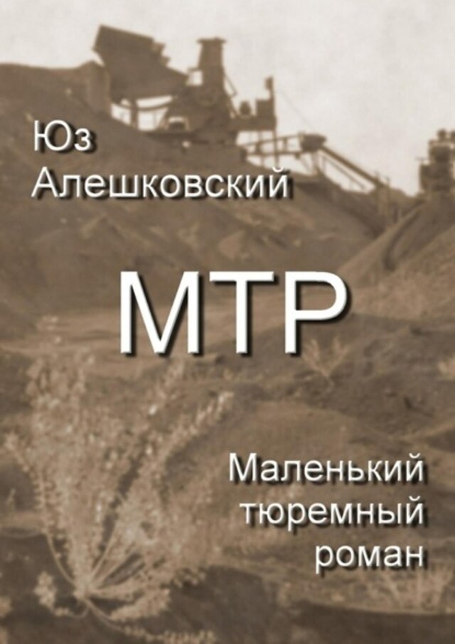 Book cover for Маленький тюремный роман