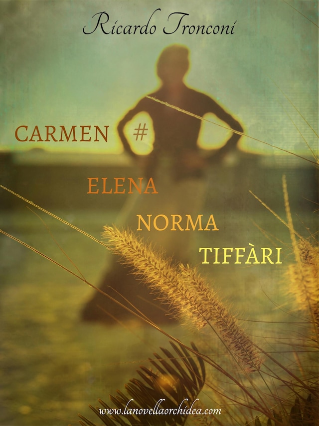 Boekomslag van Carmen Elena Norma Tiffàri