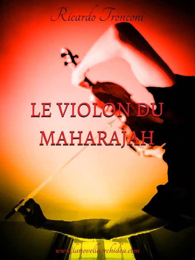 Couverture de livre pour Le violon du Maharajah