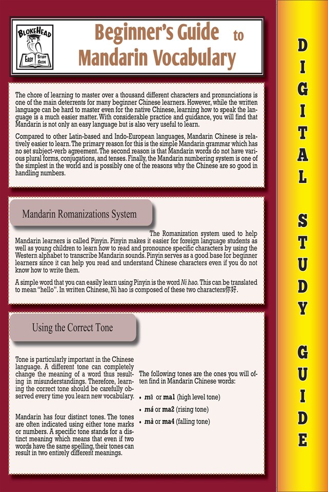 Mandarin Vocabulary (Blokehead Easy Study Guide)