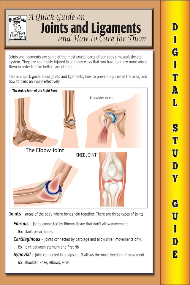 Boekomslag van Joints and Ligaments ( Blokehead Easy Study Guide)