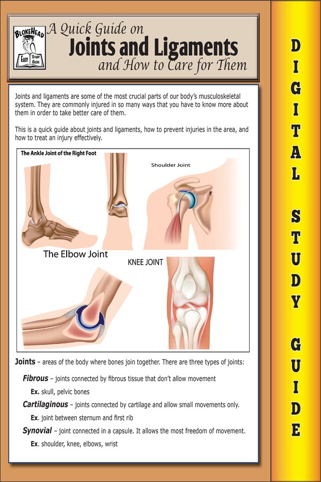 Boekomslag van Joints and Ligaments ( Blokehead Easy Study Guide)