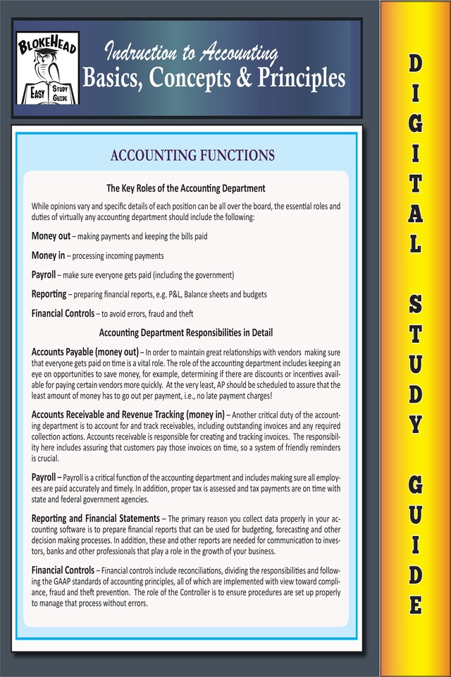 Book cover for Accounting Basics, Concepts & Principles (Blokehead Easy Study Guide)