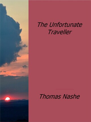 The Unfortunate Traveller bookCoverFor