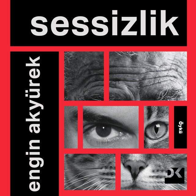 Book cover for Sessizlik