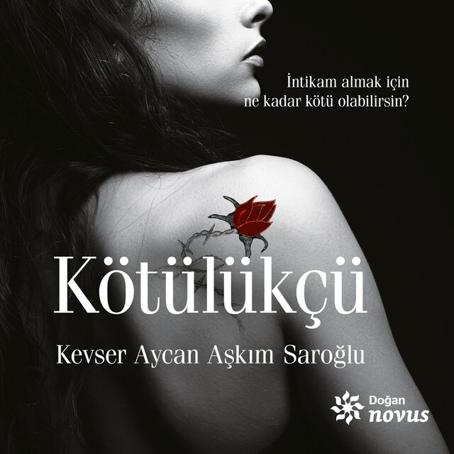 Portada de libro para Kötülükçü