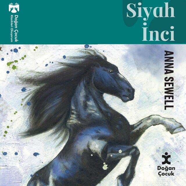 Book cover for Siyah İnci