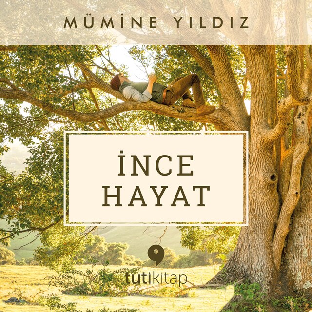 Bogomslag for İnce Hayat