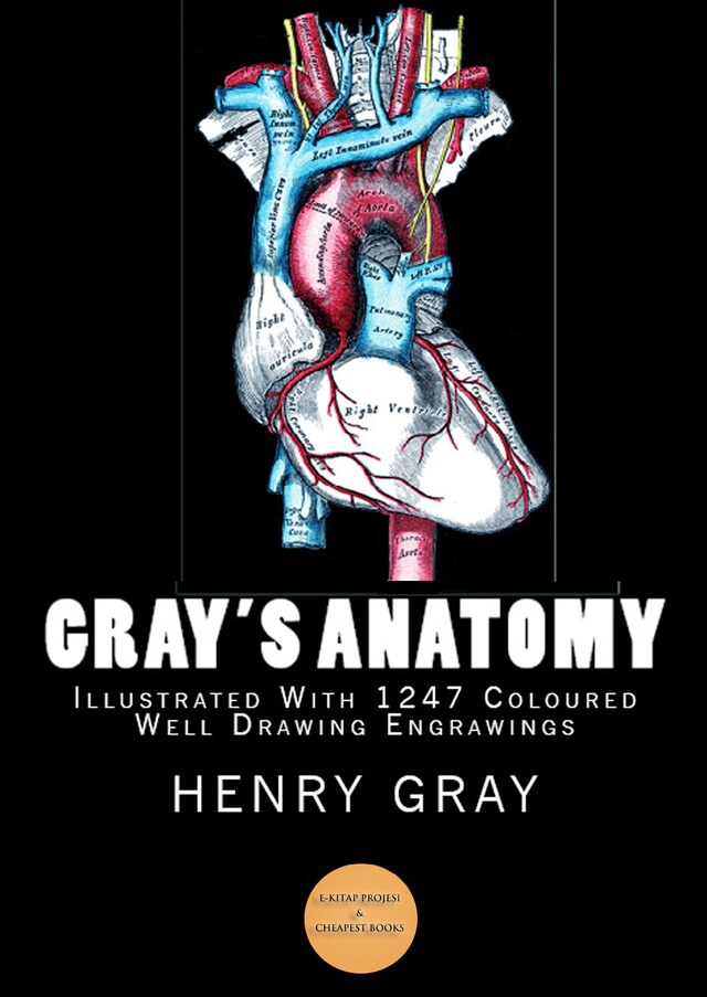 Bokomslag för Gray's Anatomy