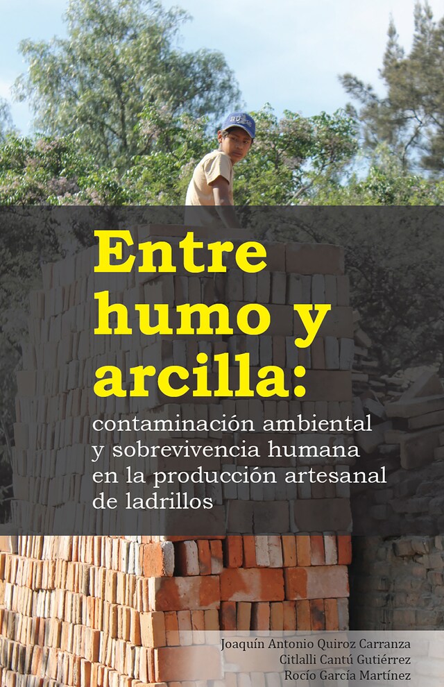 Okładka książki dla Entre humo y arcilla: contaminación ambiental y sobrevivencia humana en la producción artesanal de ladrillos