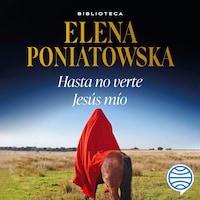 Hasta no verte Jesús mío