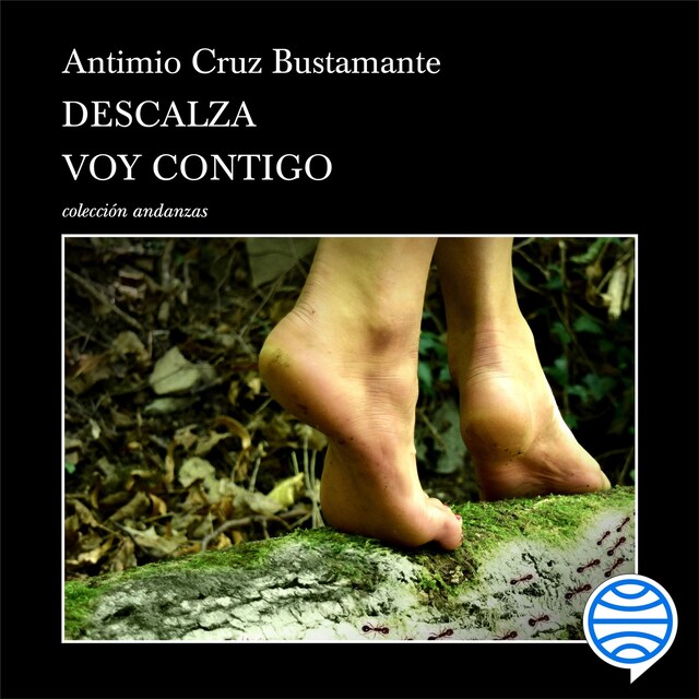 Book cover for Descalza voy contigo