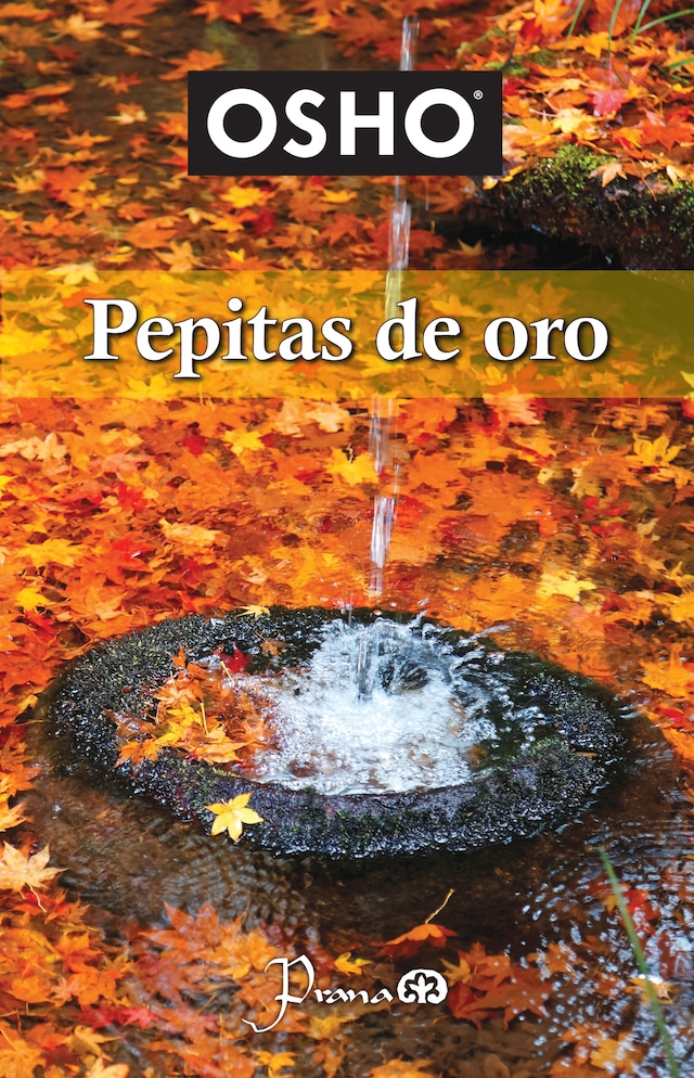 Book cover for Pepitas de oro