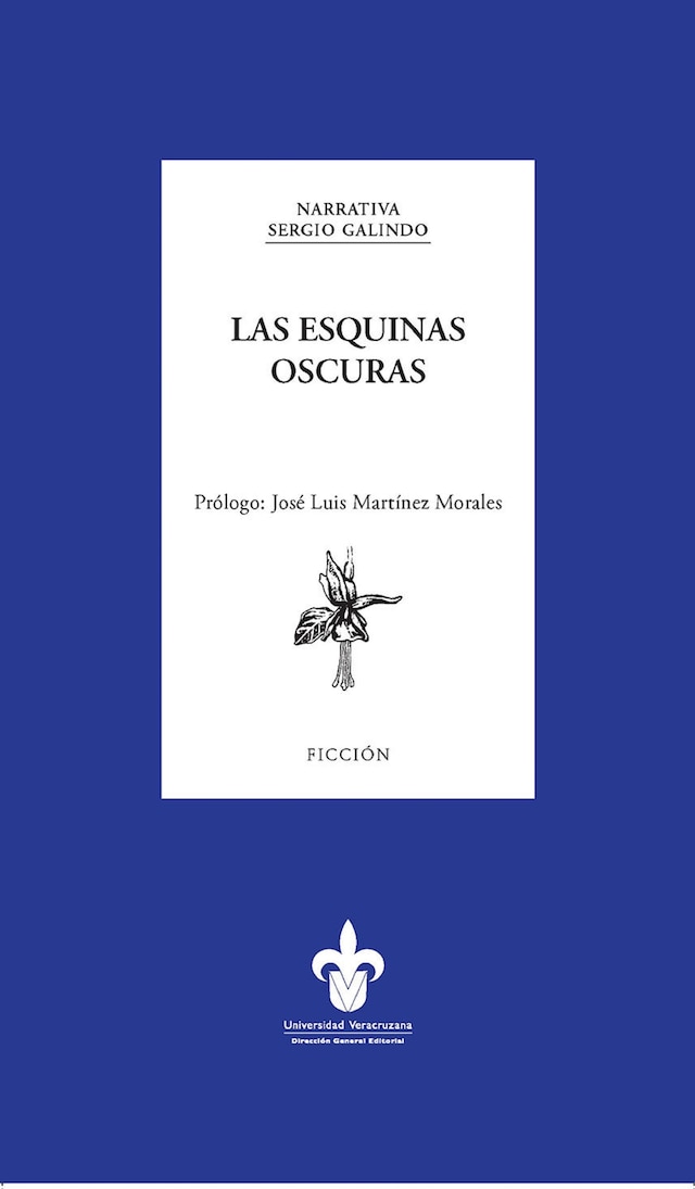 Buchcover für Las esquinas oscuras