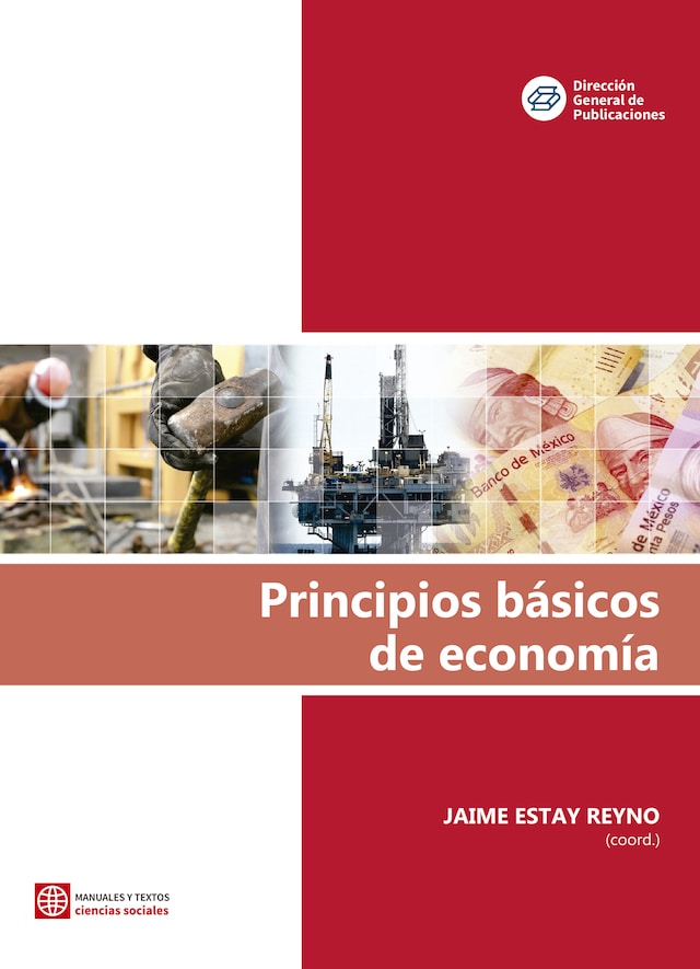 Bokomslag for Principios básicos de economía