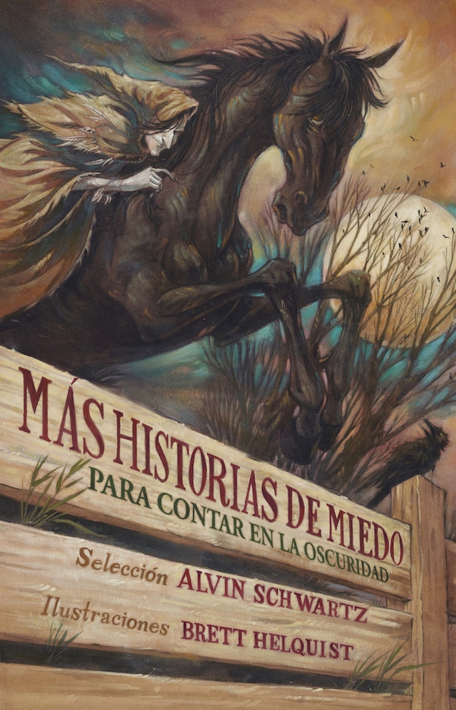 Book cover for Más historias de miedo para contar en la oscuridad