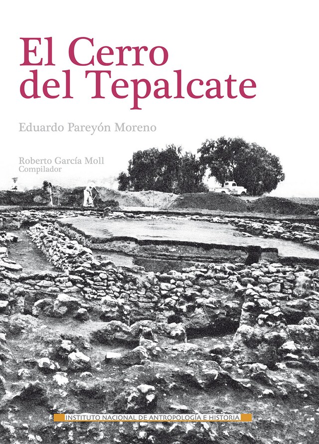 Couverture de livre pour El cerro del Tepalcate