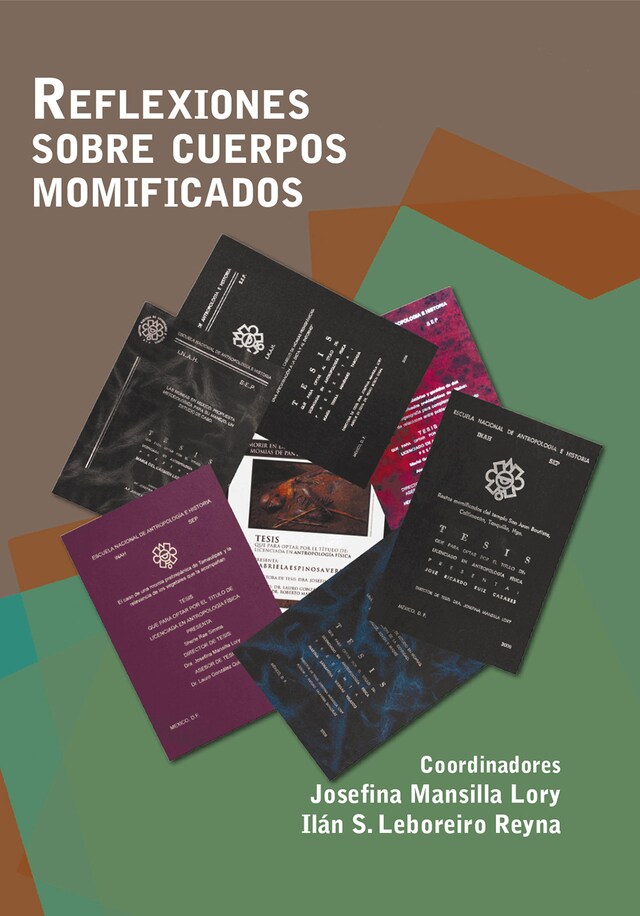 Book cover for Reflexiones sobre cuerpos momificados