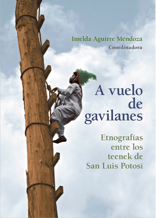 Couverture de livre pour A vuelo de gavilanes