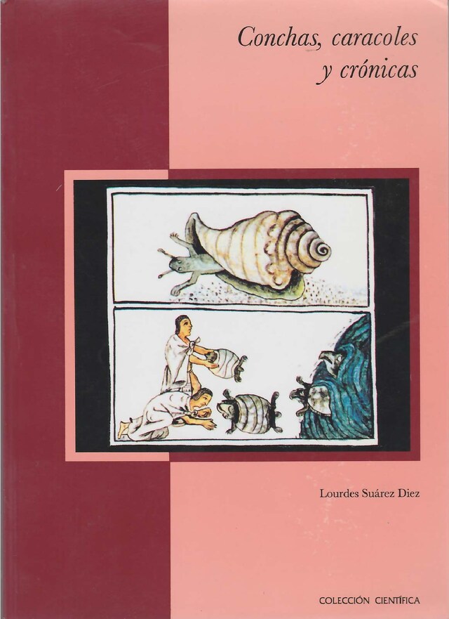 Book cover for Conchas, caracoles y crónicas