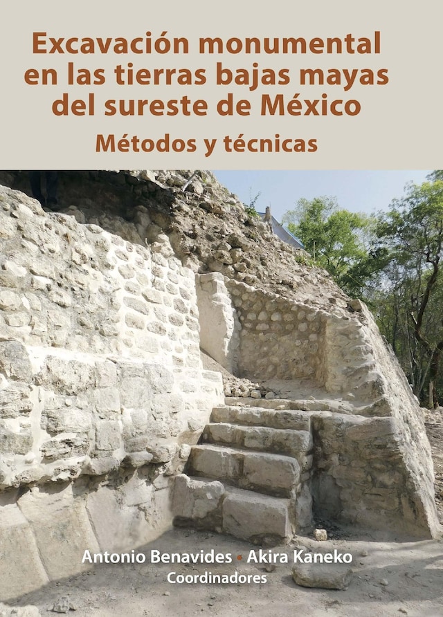 Bokomslag för Excavación monumental en las tierras bajas mayas del sureste de México