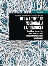 De la actividad neuronal a la conducta