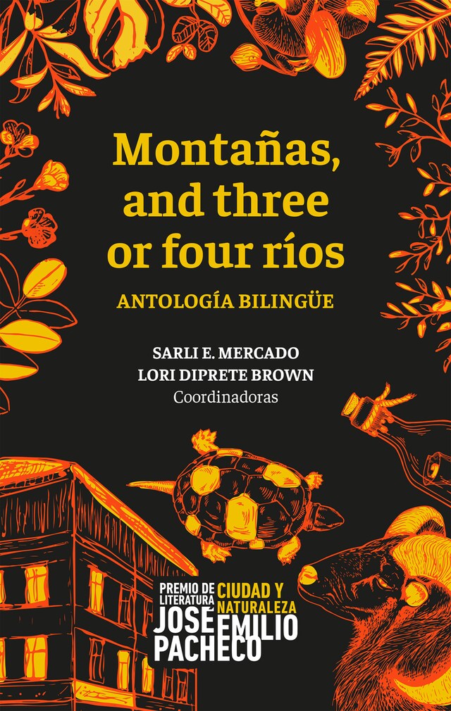 Book cover for Montañas and three or four ríos