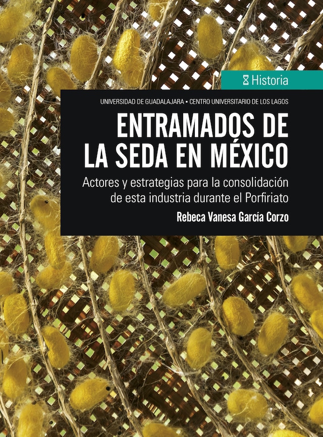 Book cover for Entramados de la seda en México