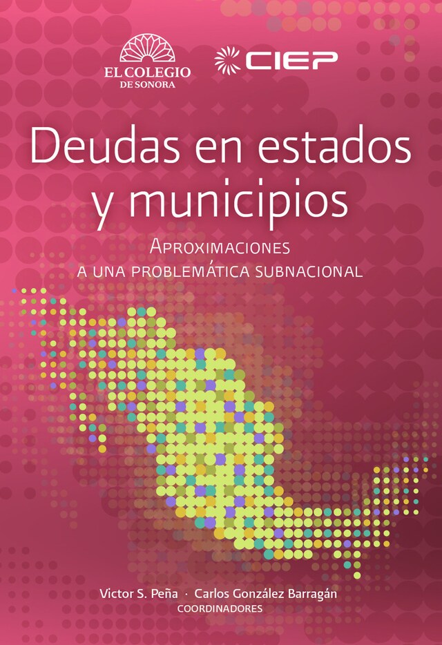 Couverture de livre pour Deudas en estados y municipios