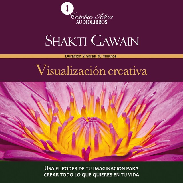 Book cover for Visualización creativa