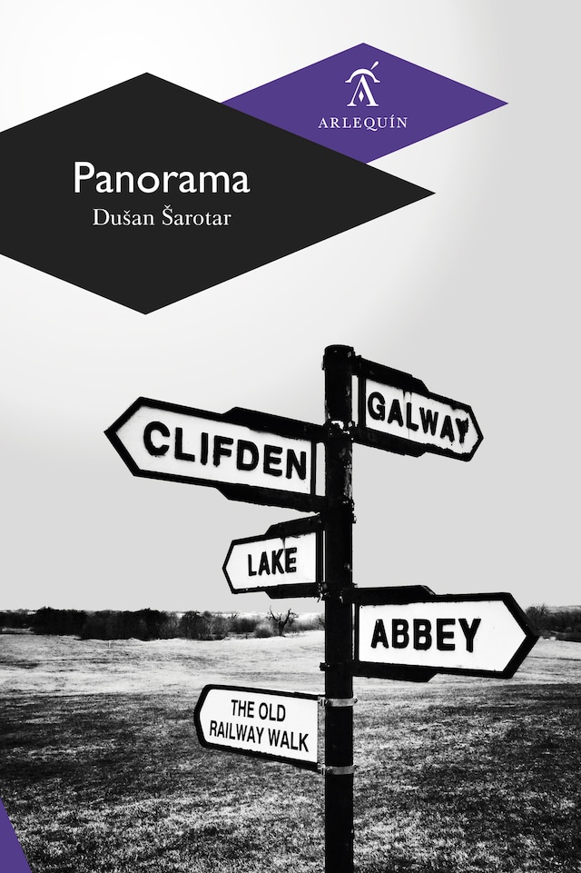 Buchcover für Panorama
