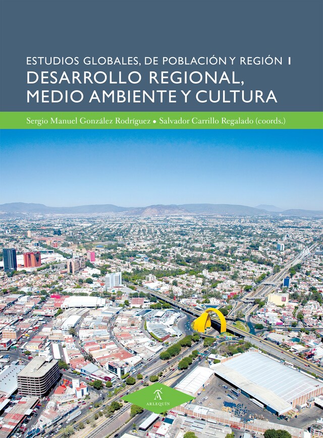 Book cover for Desarrollo regional, medio ambiente y cultura