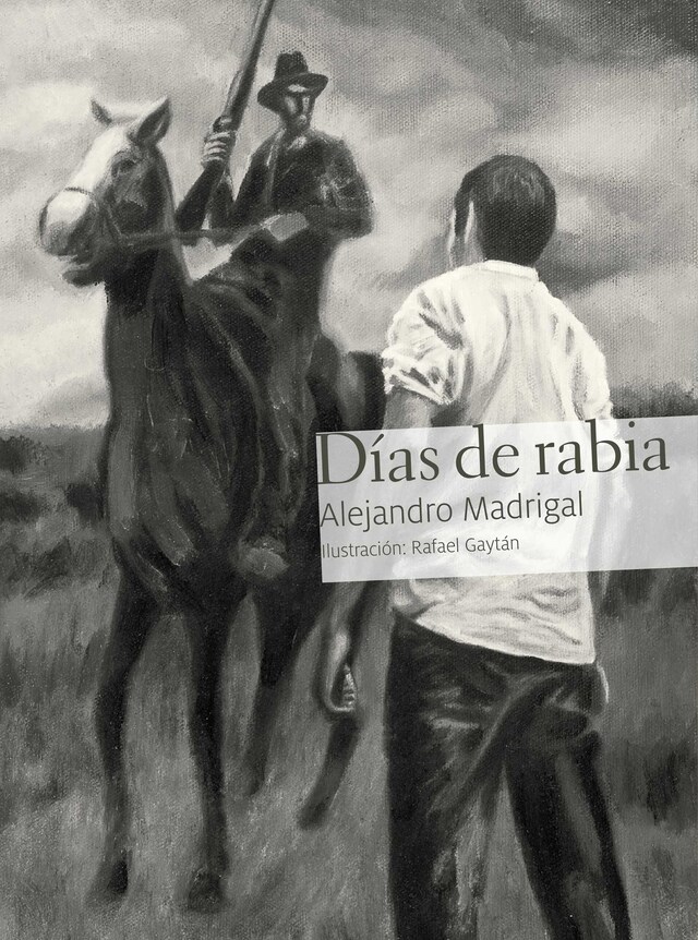 Copertina del libro per Días de rabia