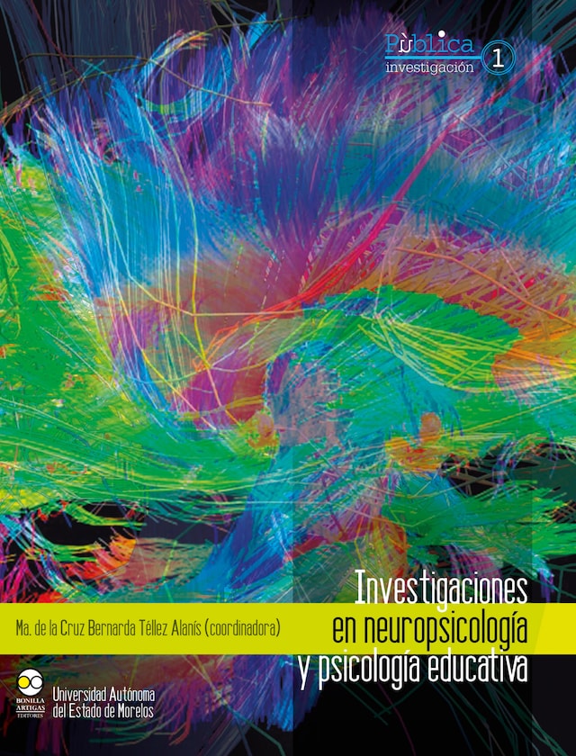 Book cover for Investigaciones en neuropsicología y psicología educativa