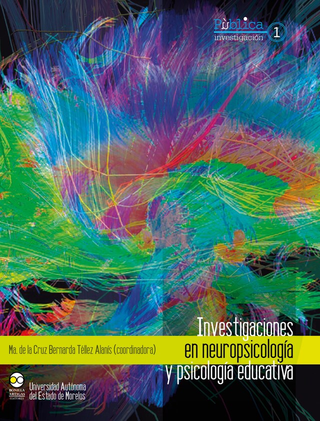 Buchcover für Investigaciones en neuropsicología y psicología educativa