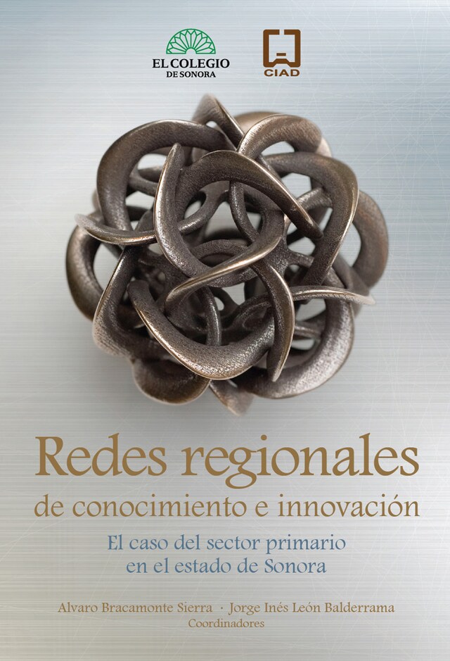 Boekomslag van Redes regionales de conocimiento e innovación