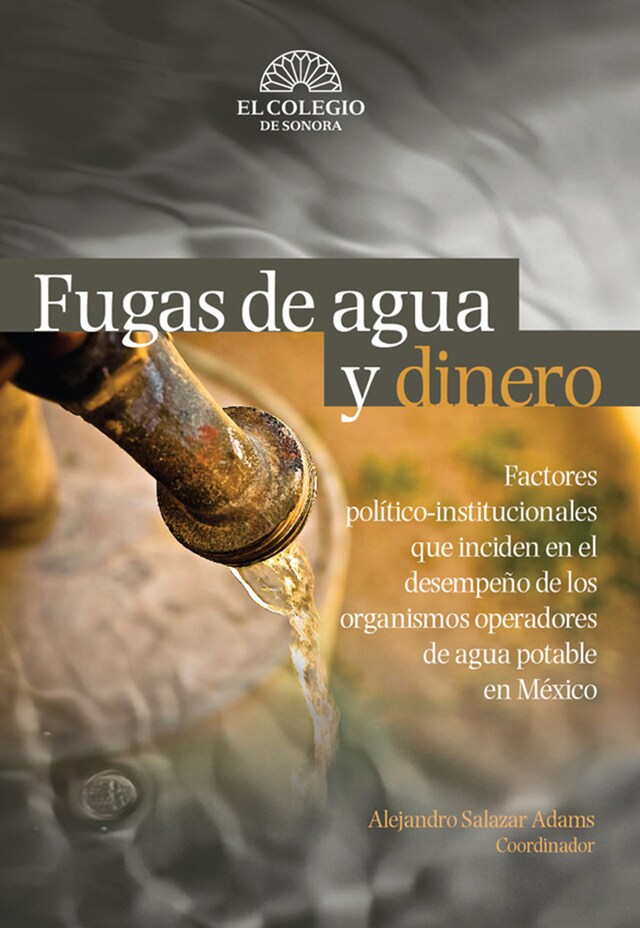 Buchcover für Fugas de agua y dinero