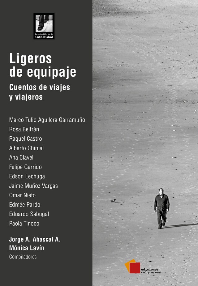 Book cover for Ligeros de equipaje