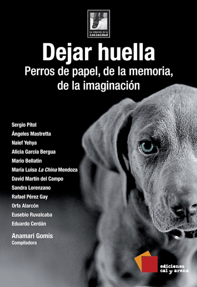 Book cover for Dejar huella