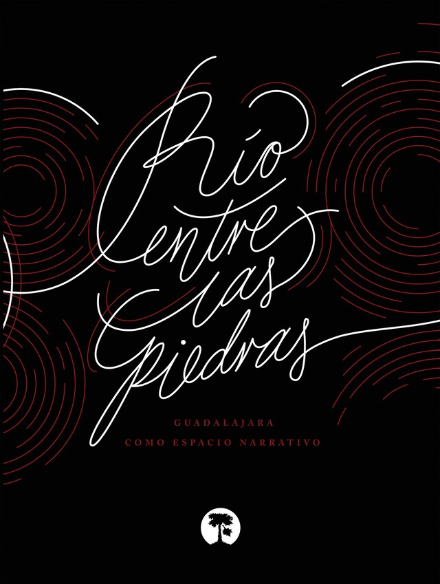 Book cover for Río entre las piedras