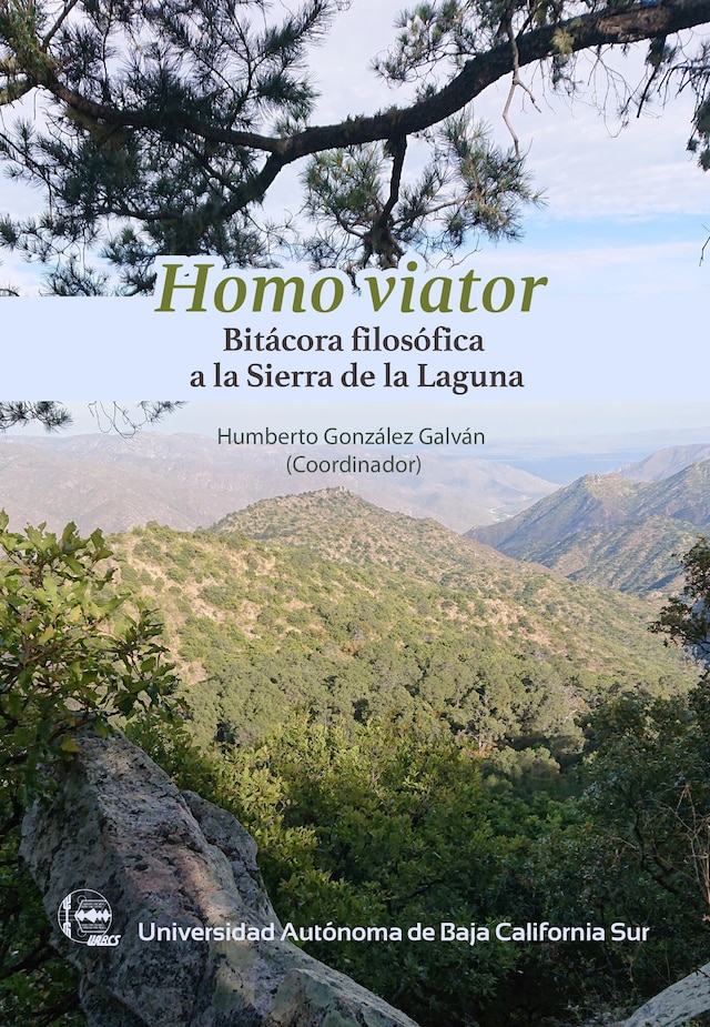 Buchcover für Homo viator