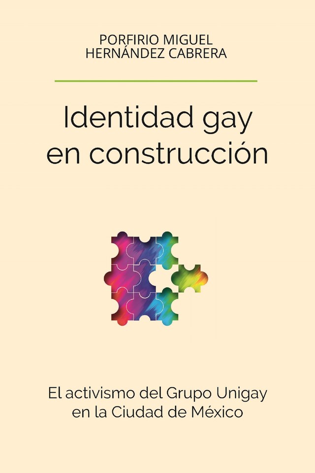 Book cover for Identidad gay en construcción
