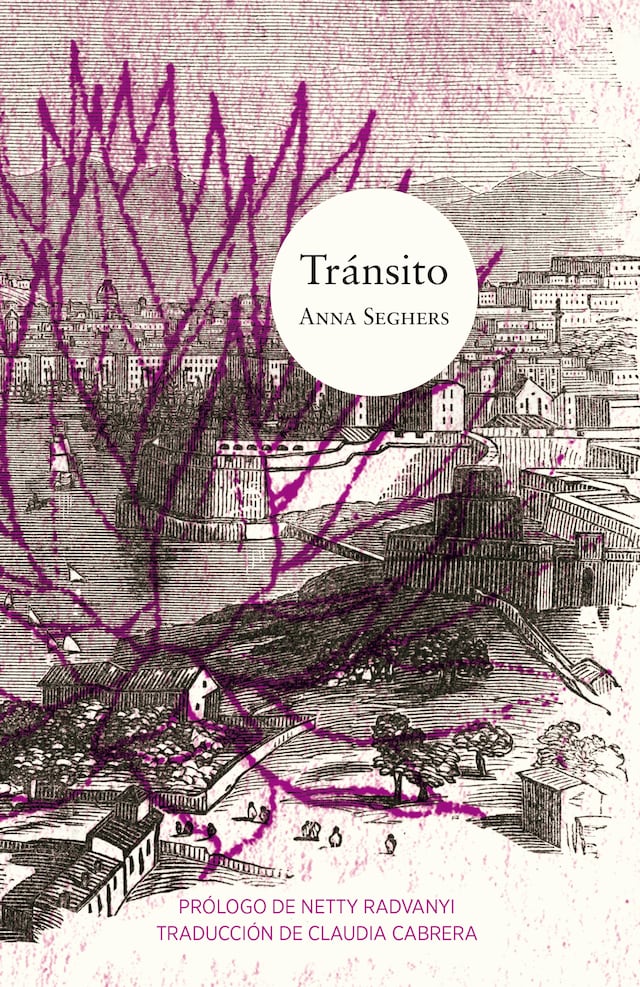 Book cover for Tránsito