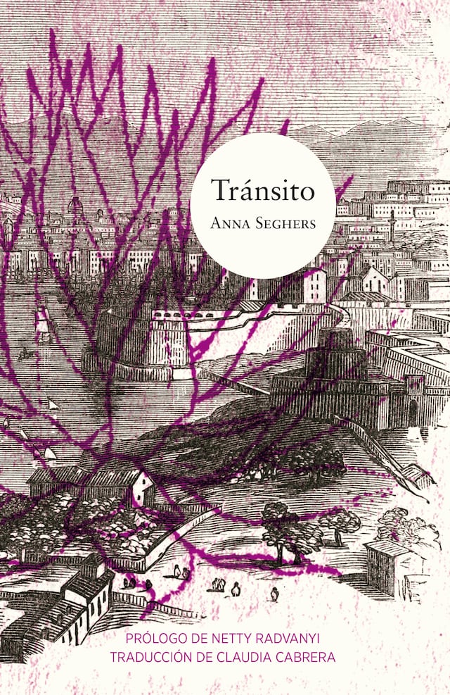 Copertina del libro per Tránsito