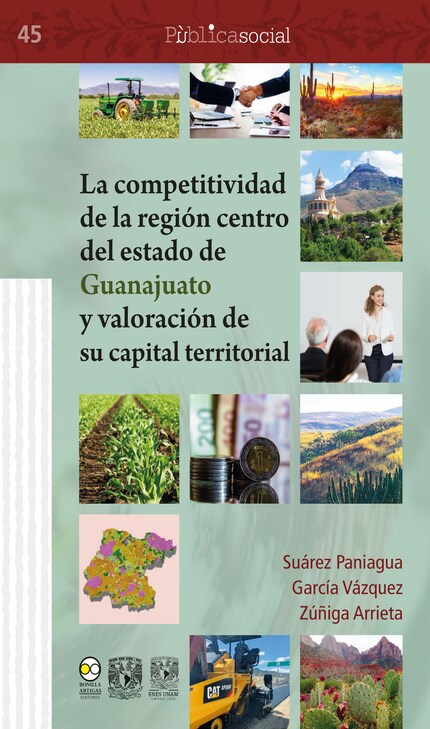 La competitividad de la región centro del estado de Guanajuato y valoración de su capital territorial bookCoverFor