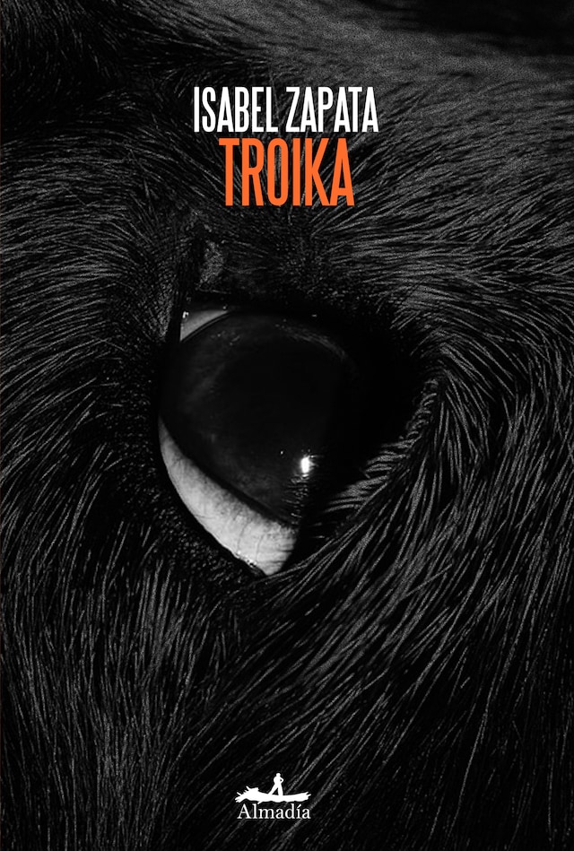 Book cover for Troika